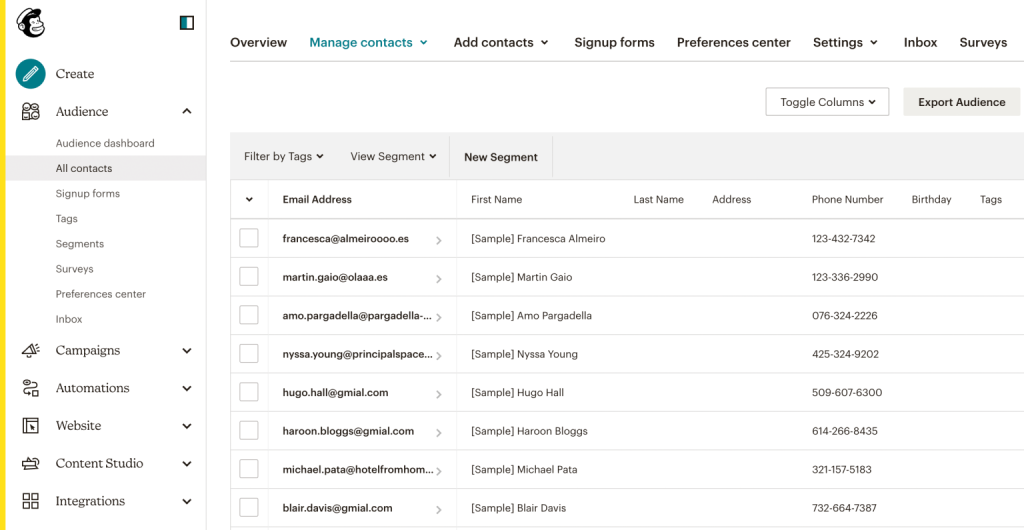 Mailchimp email contact manager dashboard