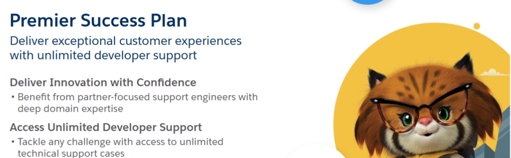 Salesforce Premier Success presentation